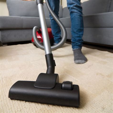 Top Vacuum Cleaners for Pet Hair: Keep Your Home Clean and Fur-Free