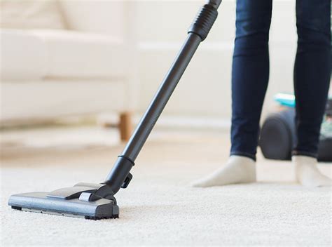 Top Vacuum Cleaners for Pet Hair: Keep Your Home Clean and Fur-Free