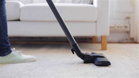 Top Vacuum Cleaners for Pet Hair: Keep Your Home Clean and Fur-Free