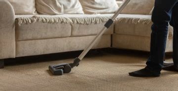 Top Vacuum Cleaners for Pet Hair: Keep Your Home Clean and Fur-Free