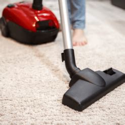 Top Vacuum Cleaners for Pet Hair: Keep Your Home Clean and Fur-Free