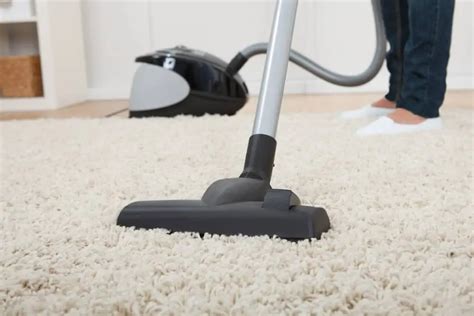 Top Vacuum Cleaners for Pet Hair: Keep Your Home Clean and Fur-Free